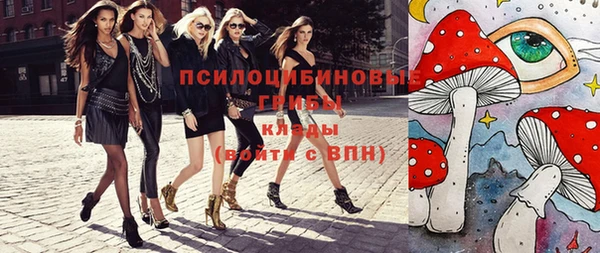 шишки Новозыбков