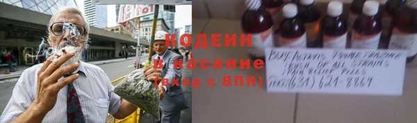трава Верея