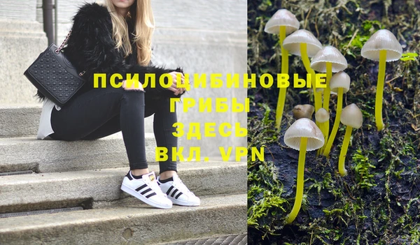 трава Верея