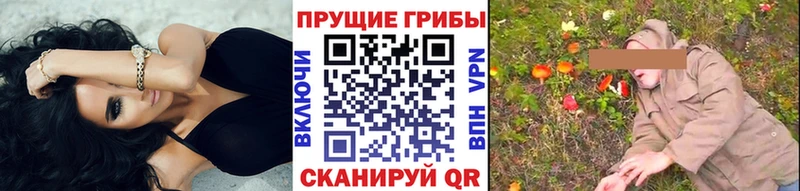 Псилоцибиновые грибы Psilocybine cubensis  даркнет сайт  Зеленодольск 